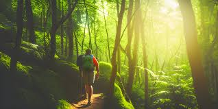 The Magic of Nature-infused Wellness: Your Gateway to Optimal Health